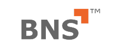 Logotyp BNS kolorowy